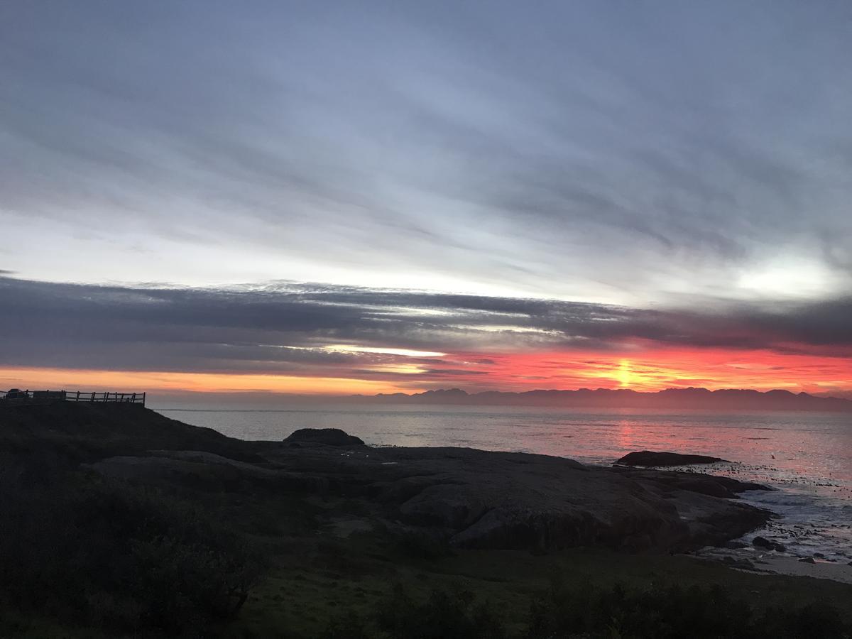 Oceans Drift (Adults Only) Hotel Cape Town Luaran gambar